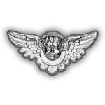 Custom Item 401